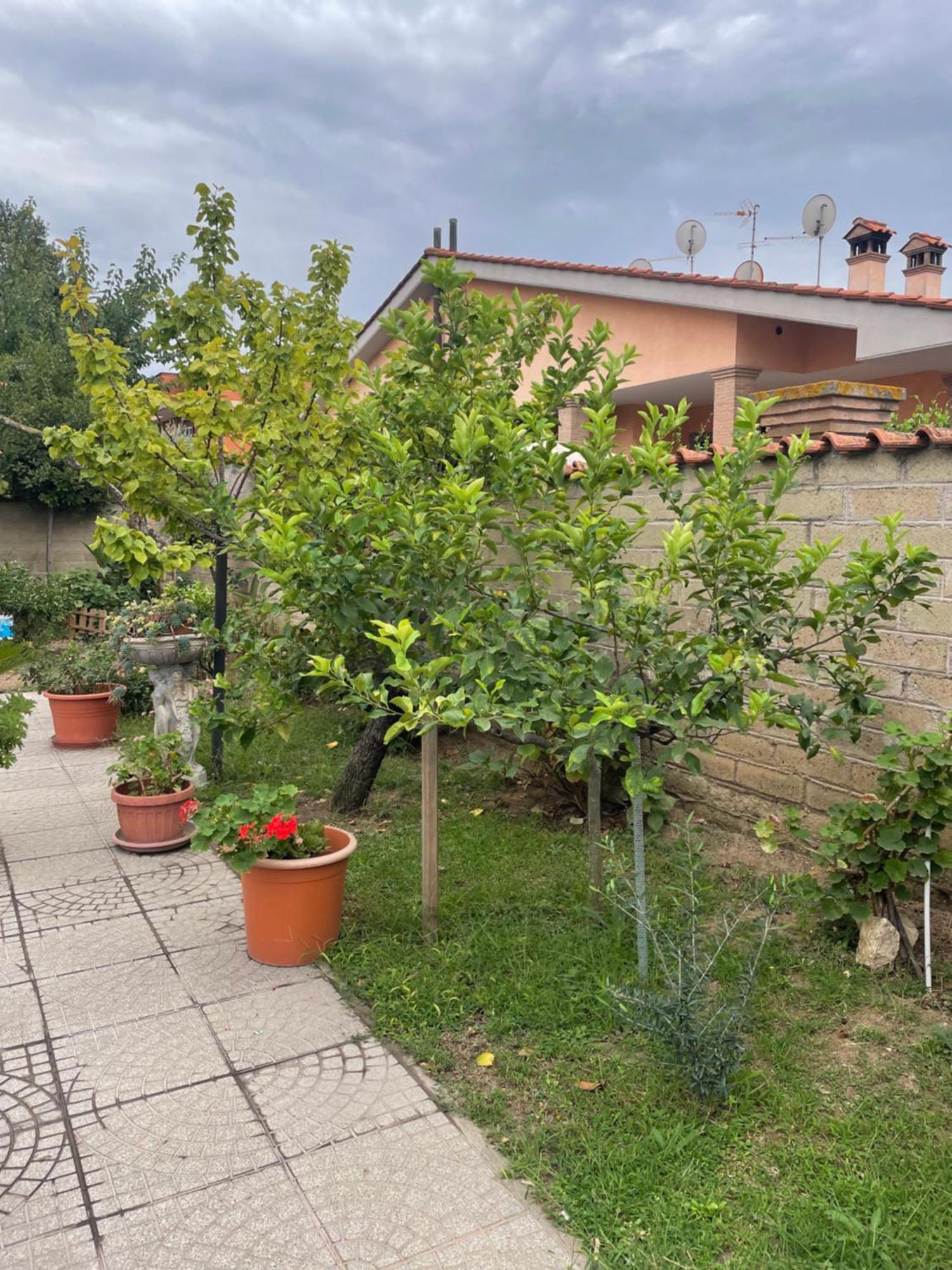 Un Sogno Nel Verde Acilia Zewnętrze zdjęcie